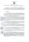 Vista preliminar de documento RGSR N° 398