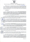 Vista preliminar de documento RGSR N° 399