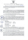 Vista preliminar de documento RGSR N° 401