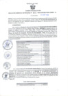 Vista preliminar de documento RGSR N° 402