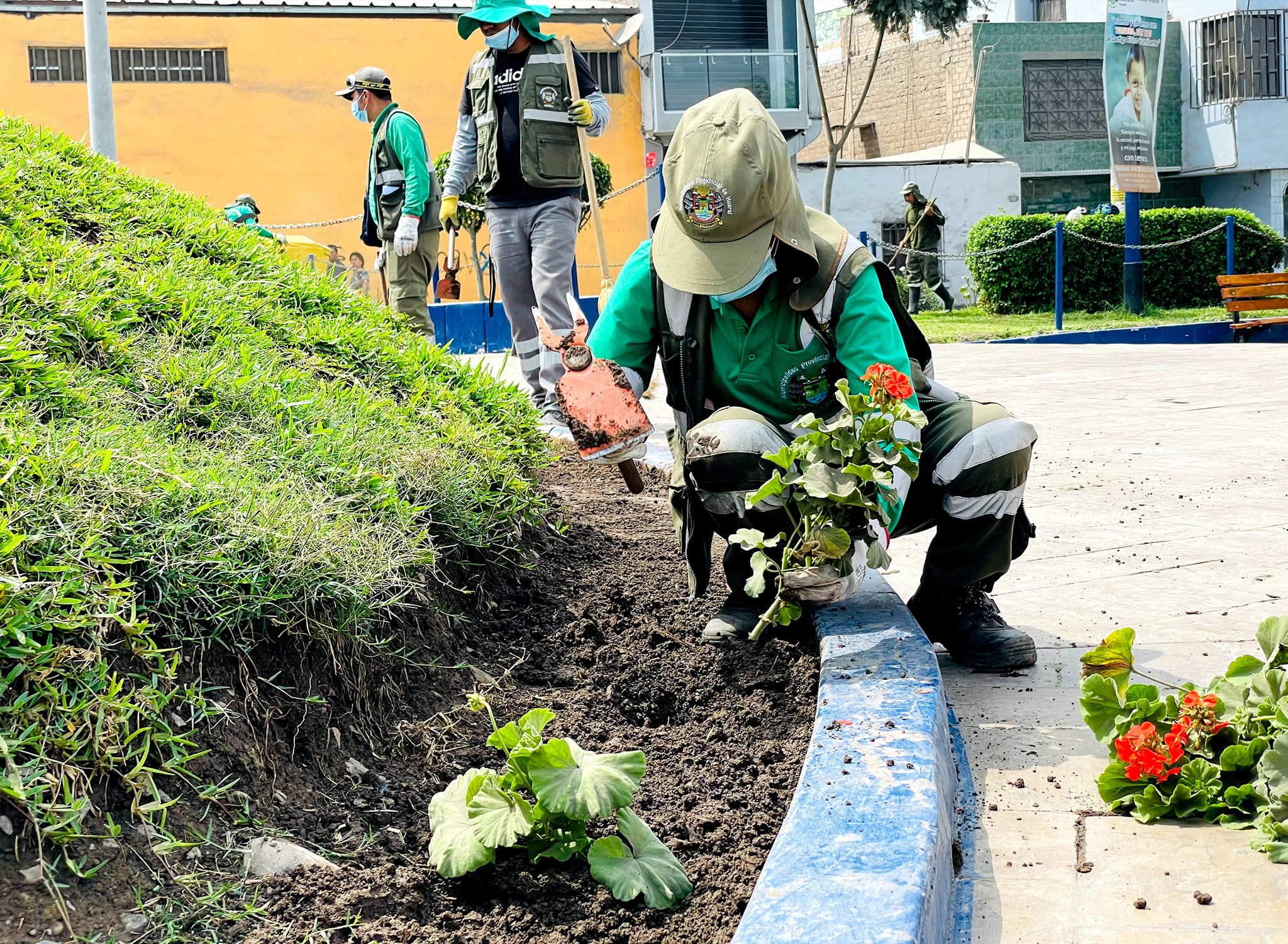 Municipalidad provincial de Huaral realizΓ³ el mantenimiento de Γ‘reas verdes de la Plaza Centenario