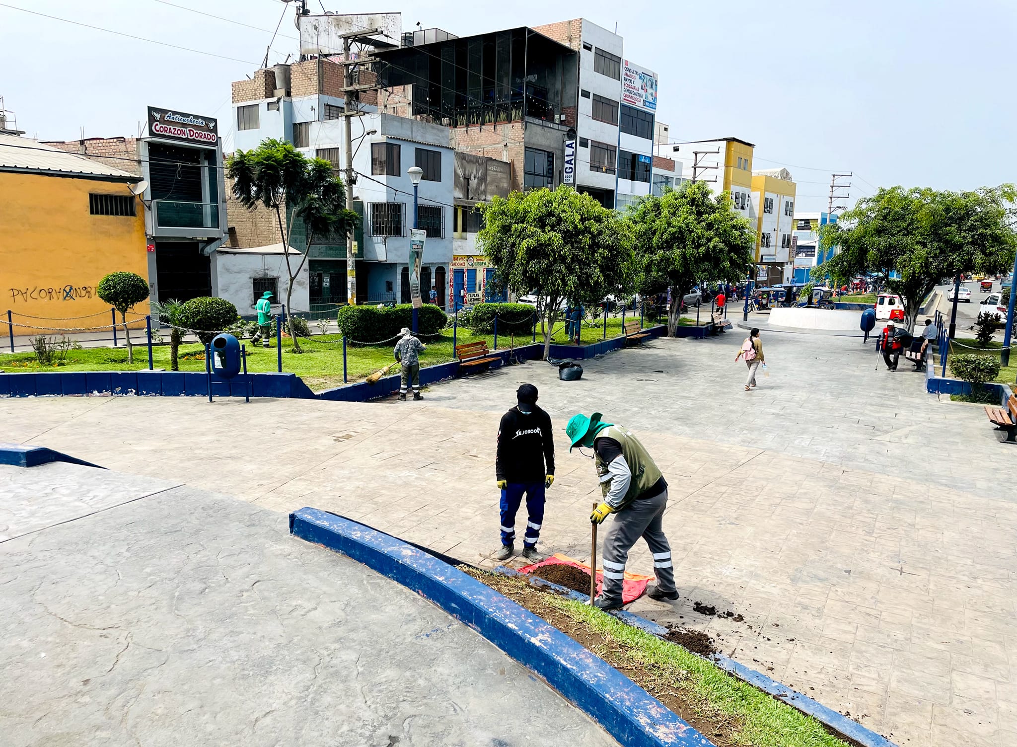 Municipalidad provincial de Huaral realizΓ³ el mantenimiento de Γ‘reas verdes de la Plaza Centenario