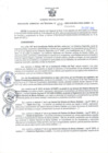 Vista preliminar de documento RGSR N° 409