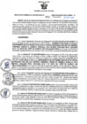 Vista preliminar de documento RGSR N° 412