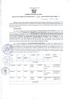 Vista preliminar de documento RGSR N° 428