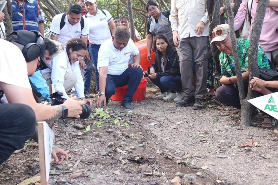 Municipalidad de Maynas liberó más de 3,200 taricayas en lago Tipishca