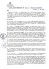 Vista preliminar de documento RG. 000677-2023-GSATDE