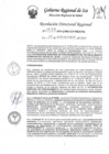 Vista preliminar de documento RDR-1593-2023