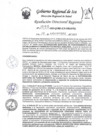 Vista preliminar de documento RDR-1595-2023