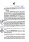 Vista preliminar de documento RGSR N° 343