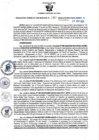 Vista preliminar de documento RGSR N° 347