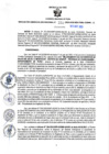 Vista preliminar de documento RGSR N° 351