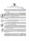 Vista preliminar de documento RGSR N° 352