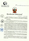 Vista preliminar de documento RD N° 04-01-2023-DE-HCLLH-MINSA