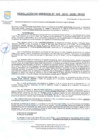 Vista preliminar de documento Resolución Gerencial Nº 009-2019-GDIS/MVES