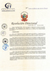 Vista preliminar de documento RD N° 017-01-2023-DE-HCLLH-MINSA