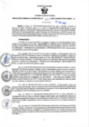 Vista preliminar de documento RGSR N° 357