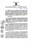 Vista preliminar de documento RGSR N° 360