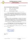 Vista preliminar de documento Sesión Extraordinaria N18_2021