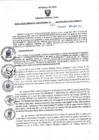 Vista preliminar de documento RGSR N°369