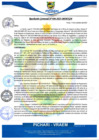 Vista preliminar de documento rgm496