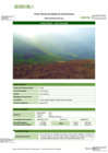 Vista preliminar de documento LIM FT Loma Costera - Cerro Colorado 24.08.2023FFFF