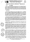 Vista preliminar de documento RGR0338-2023-GRI