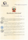 Vista preliminar de documento RD N° 41-03-2023-DE-HCLLH-MINSA