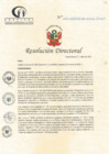 Vista preliminar de documento RD N° 55-03-2023-DE-HCLLH-MINSA