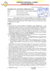 Vista preliminar de documento Sesión Extraordinaria N08_2021