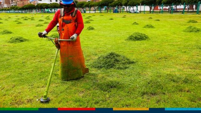 La Municipalidad Provincial de Cajamarca, a través de la subgerencia de Gestión Ambiental, realizó la limpieza y mantenimiento de la explanada Qhapaq Ñan. 
✅Más de tres hectáreas de  sembrío de gras estarán disponibles en los próximos días, para la ciudadanía cajamarquina, este es un arduo trabajo de nuestro personal para ofrecer nuevos espacios adecuados para la libre recreación y práctica del deporte. 