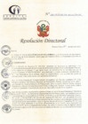 Vista preliminar de documento RD N° 80-04-2023-DE-HCLLH-MINSA