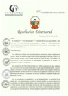 Vista preliminar de documento RD N° 113-05-2023-DE-HCLLH-MINSA