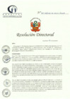 Vista preliminar de documento R.D.121-06-2023-DE-HCLLH-MINSA