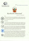 Vista preliminar de documento R.D.133-06-2023-DE-HCLLH-MINSA
