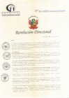 Vista preliminar de documento R.D.147-06-2023-DE-HCLLH-MINSA