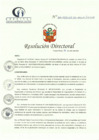 Vista preliminar de documento R.D.162-07-2023-DE-HCLLH-MINSA