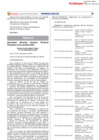 Vista preliminar de documento 2023-RD17