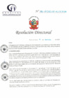 Vista preliminar de documento RD N° 196-09-2023-DE-HCLLH-MINSA