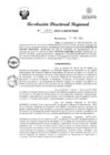Vista preliminar de documento RDR Nº 3444-2023-GRSM-DRE