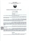 Vista preliminar de documento RD- 1731
