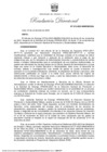 Vista preliminar de documento RD 213