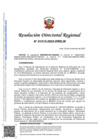 Vista preliminar de documento RDR-1513-2023-DRELM