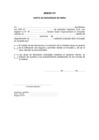 Vista preliminar de documento Anexo XV: Formato – Carta de Seguridad	