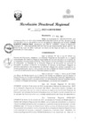 Vista preliminar de documento RDR Nº 3475-2023-GRSM-DRE