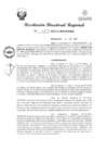 Vista preliminar de documento RDR Nº 3477-2023-GRSM-DRE