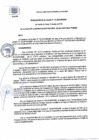 Vista preliminar de documento RA 141-2019