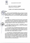 Vista preliminar de documento RA 142-2019