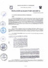 Vista preliminar de documento Resolución de Alcaldia N°0081-2023-A