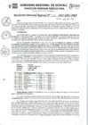 Vista preliminar de documento RDR_N_322-2023-GRU-DRA
